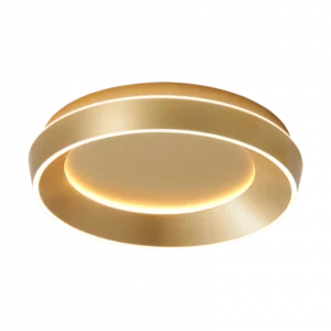 Ciorcal Ceiling Light