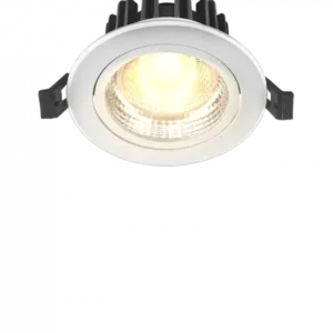 EGAN LED Downlighter